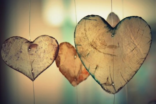 Blog dan Artikel Selamat Datang Februari, Bulan Penuh Cinta!
