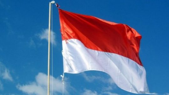 Blog dan Artikel Ini yang Perlu Liliyana Natsir / Tontowi Ahmad Lakukan dengan Bonus Olimpiade 5 Milyar
