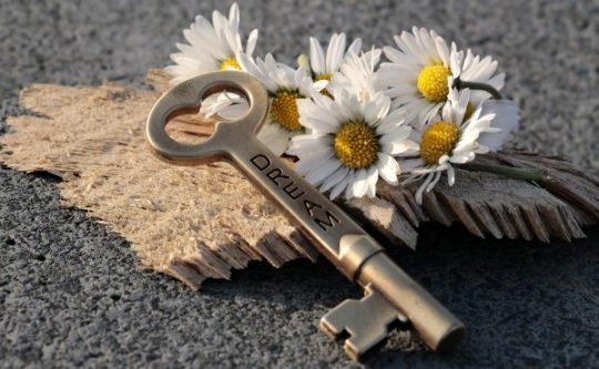 Blog dan Artikel Choose Your Lifestyle, Chase Your Dream