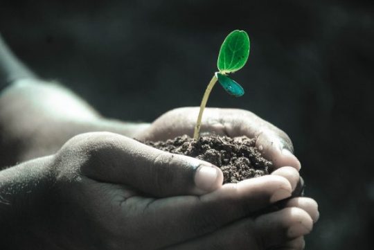 3 Hal tentang Mandiri Finansial