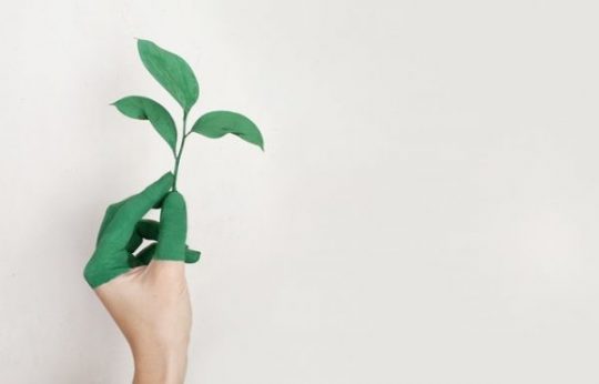 6 Instrumen Investasi yang Harus Diketahui oleh Investor Pemula Sebelum Mulai Menanam Dana