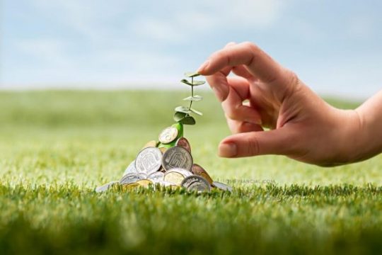 Instrumen Investasi untuk Pemula, Apa Saja ya yang Cocok?