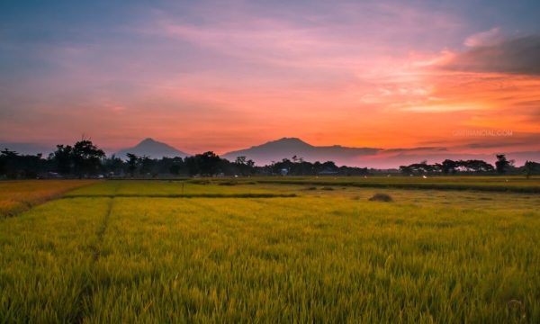 Blog dan Artikel 11+ Kota Pensiun yang Terbaik di Indonesia