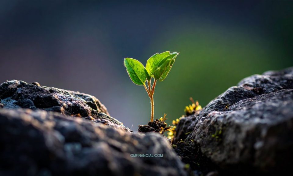 Cara Meningkatkan Resiliensi dalam Diri secara Finansial saat Kondisi Ekonomi Tidak Pasti