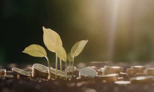 Prinsip Dasar Investasi untuk Pemula yang Wajib Dipahami