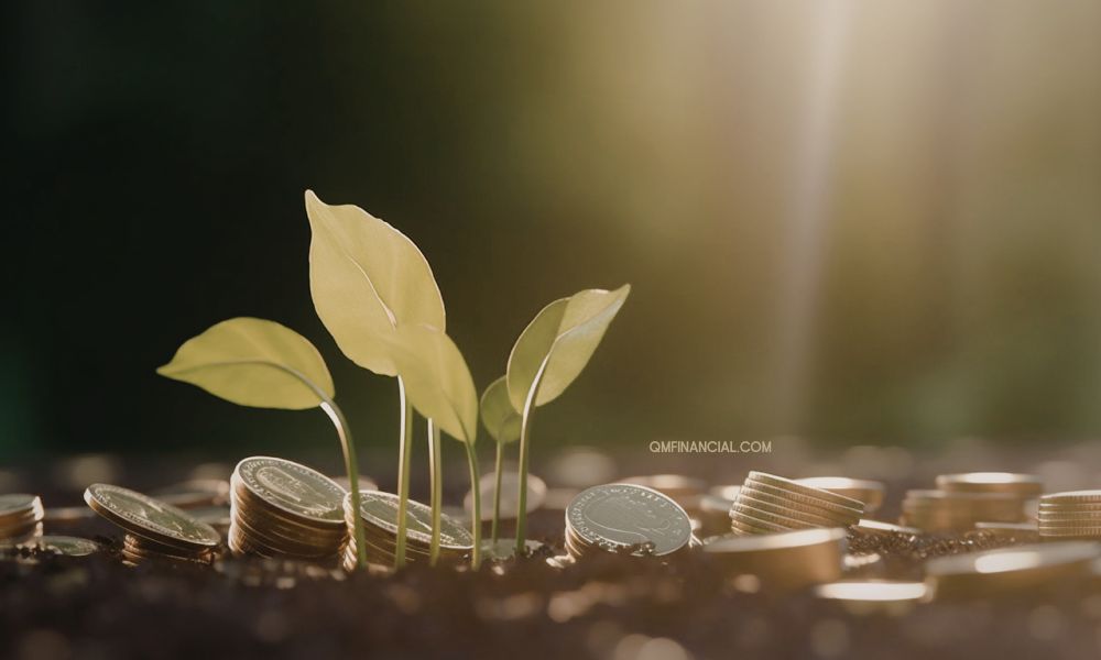 Financial Learning Partner Prinsip Dasar Investasi untuk Pemula yang Wajib Dipahami