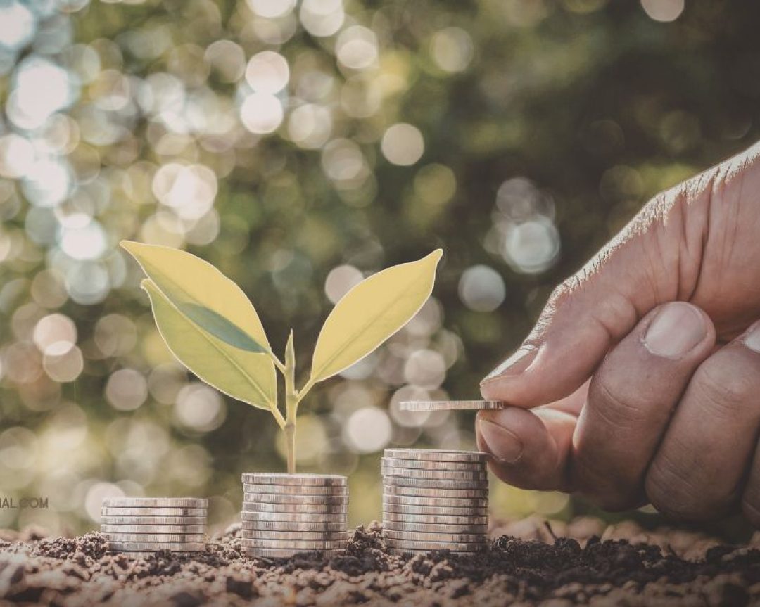 Kesalahan Investasi yang Sering Terjadi Saat Banyak Berita Negatif