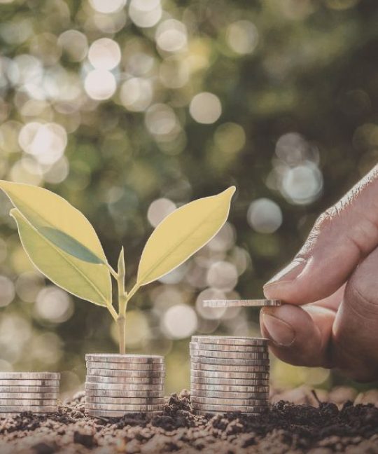 Kesalahan Investasi yang Sering Terjadi Saat Banyak Berita Negatif