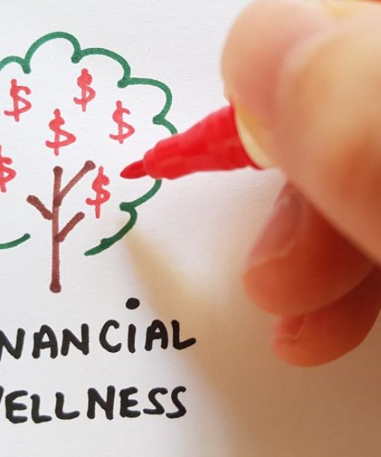 Financial Learning Partner Apa Itu Financial Wellbeing dan Kenapa Penting di Masa Sekarang?