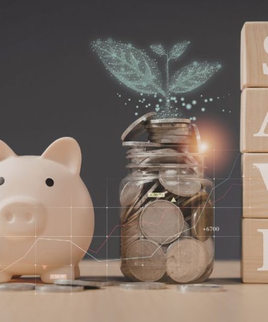 Financial Learning Partner Menjaga Keseimbangan antara Menabung dan Menikmati Hidup