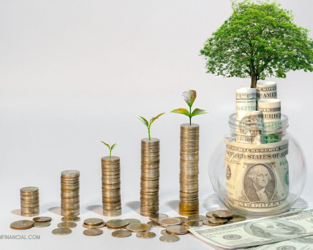 Financial Learning Partner Kapan seseorang bisa dibilang sudah lebih sehat finansial?