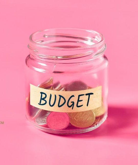 Financial Learning Partner Cara Menikmati Hidup Tanpa Merusak Anggaran Bulanan