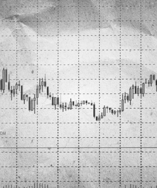 Financial Learning Partner Trading Halt BEI: Apa Artinya dan Apa yang Perlu Kita Lakukan?